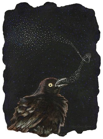 Halloween - bird - raven - crow - Black Bird -Singing -Illustration - Amy Rose Moore