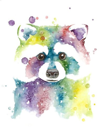 Calistaprints - Watercolor -Raccoon -Print - animals - sfetsy civic center commons - we are in common - craft show